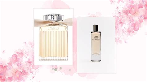 zara dupe chloe|perfumes that smell like chloe.